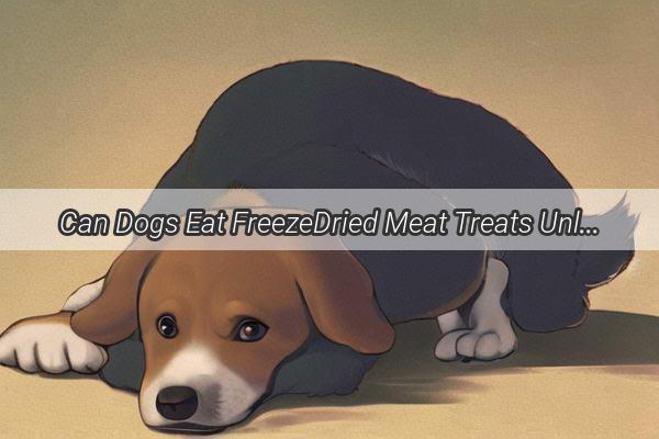 Can Dogs Eat FreezeDried Meat Treats Unleash the Benefits of These Nutritious Snacks